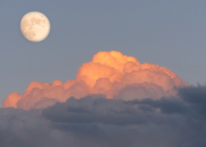 Post - Libra Full Moon Miranda pic 2