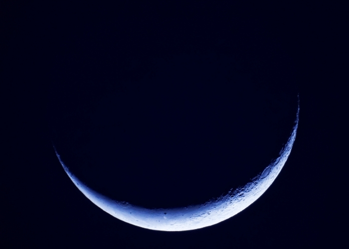 Leo New Moon 2021 pic 1 Leo New Moon 2021 pic 1