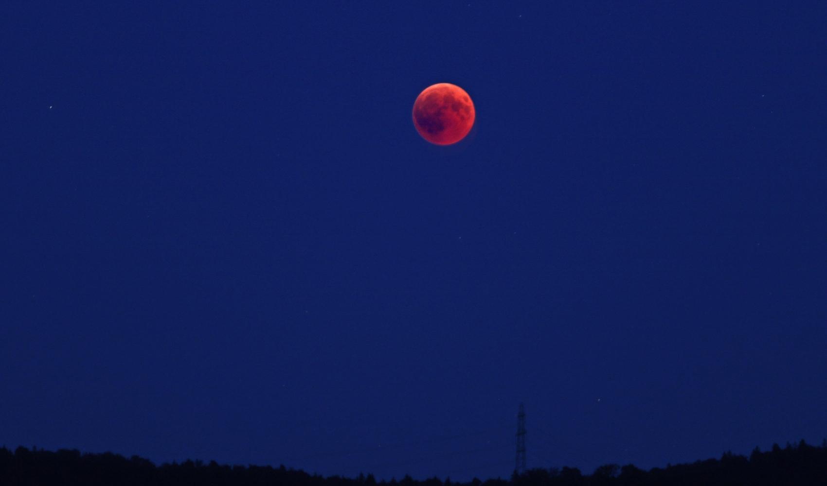 Scorpio Lunar Eclipse 2022 card guidance