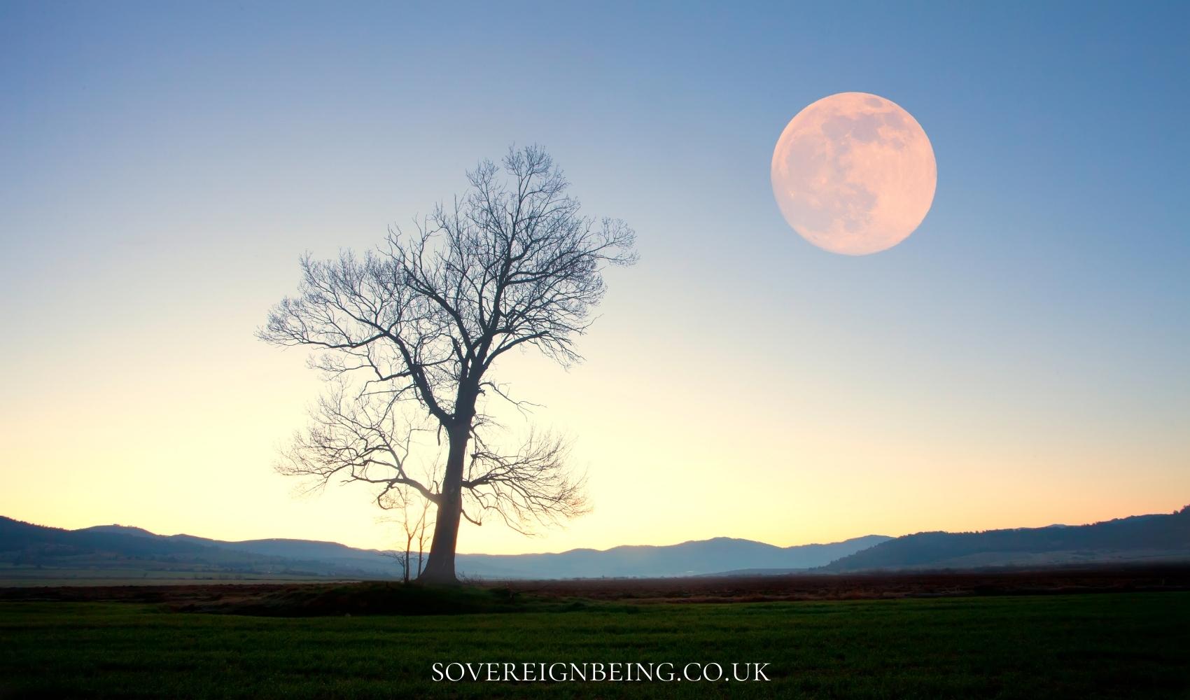 Capricorn Full Moon 2022b
