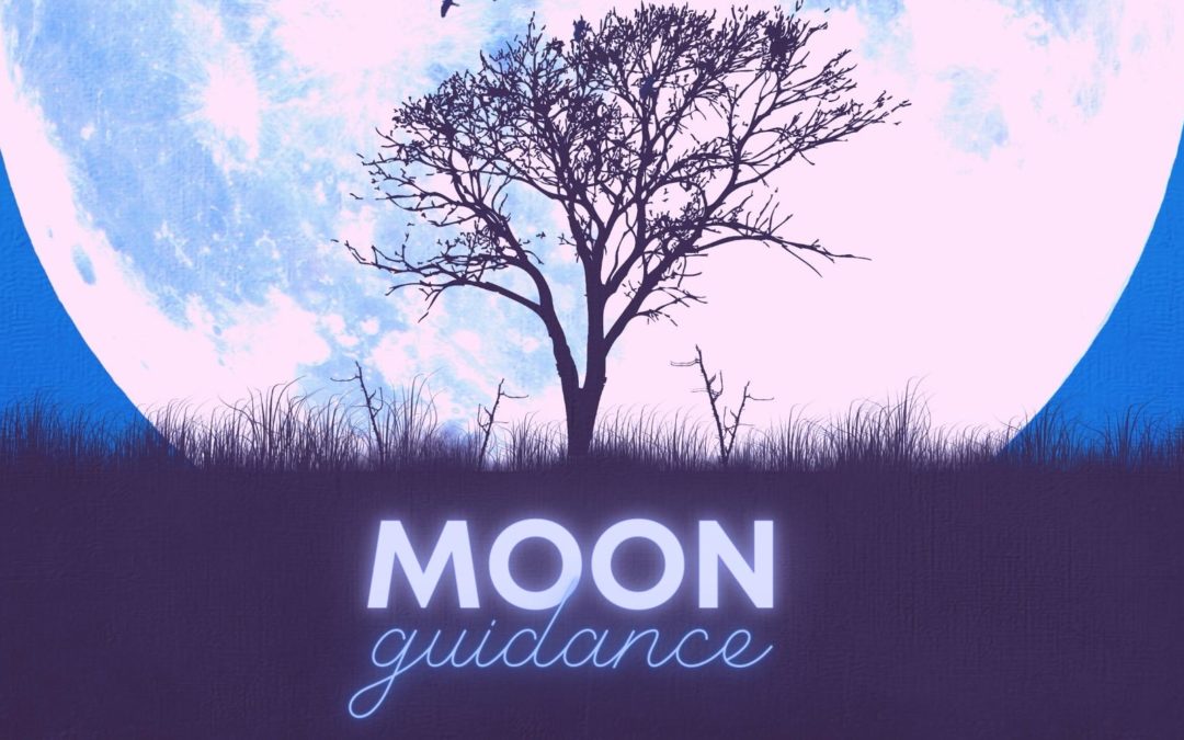 Virgo Full Moon 2024 – Card Guidance