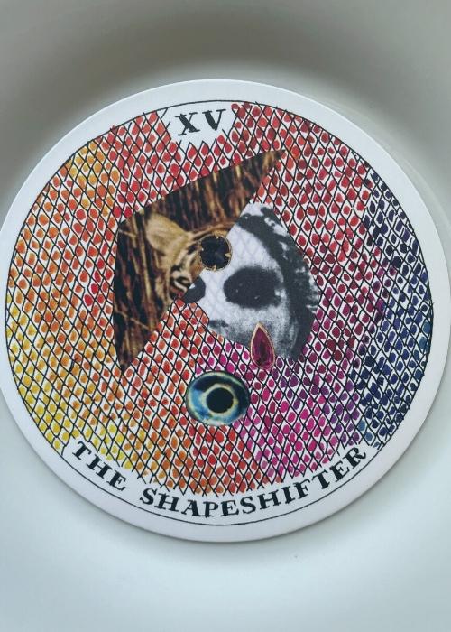 shapeshifter shapeshifter