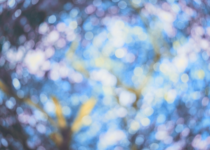 Virgo New Moon 2025 - pic 3 Virgo New Moon 2025 - pic 3